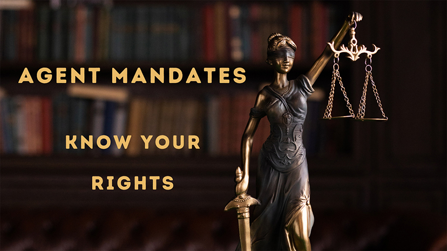 THE PITFALLS OF EXCLUSIVE SOLE MANDATES: A GUIDE FOR HOME SELLERS